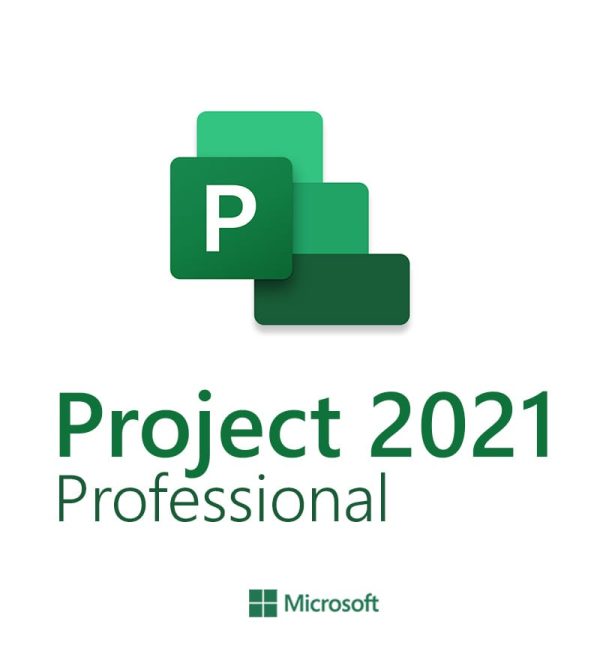 Microsoft Project 2021 Professional